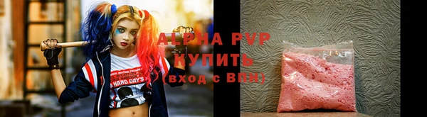 стафф Заводоуковск
