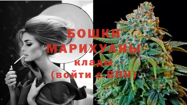 стафф Заводоуковск