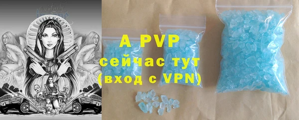 стафф Заводоуковск