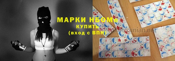 стафф Заводоуковск