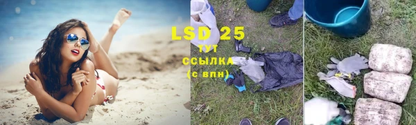 стафф Заводоуковск