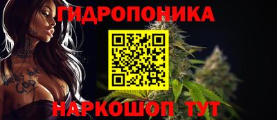 молекула духа Краснодар