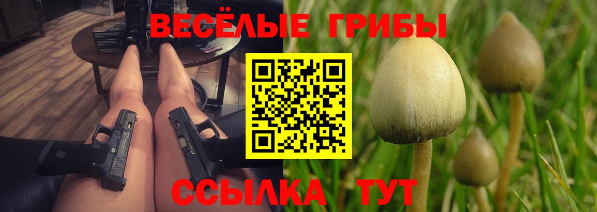 Галлюциногенные грибы мицелий Карталы